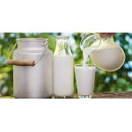 Хранение молока в домашних условиях
